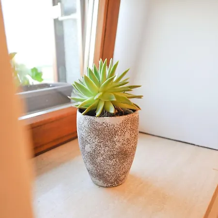 Apartment Relax And Rustic With Terrace - Classic One Bedroom With Terrace Brezice