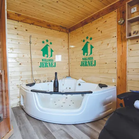 Relax And Rustic With Terrace - Classic One Bedroom With Terrace Apartment Brezice