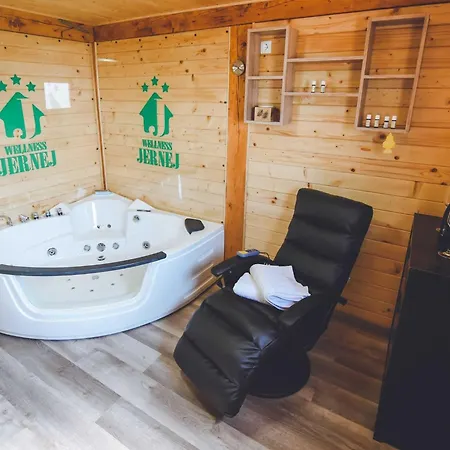 Relax And Rustic With Terrace - Classic One Bedroom With Terrace * Brežice