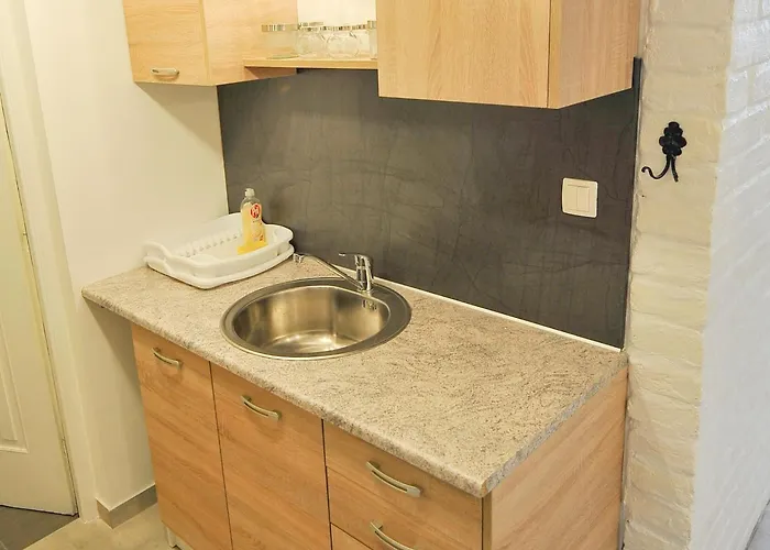 Apartment Relax And Rustic With Terrace - Classic One Bedroom With Terrace Brezice