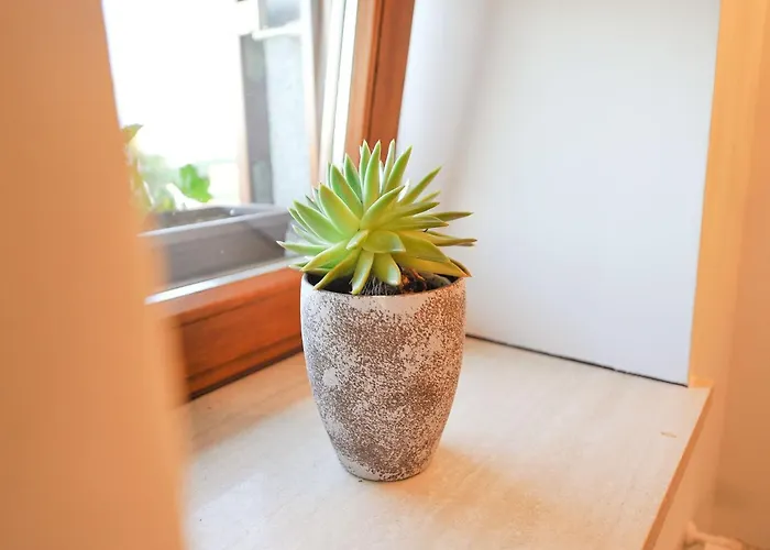 Apartment Relax And Rustic With Terrace - Classic One Bedroom With Terrace Brezice